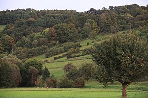 Steinriegel in the Weikersheim landscape protection area