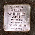 image=File:Stolperstein_Fuchshohl_67_Ernst_Kantorowicz.jpg