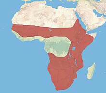 Carte d'Afrique avec une vaste zone couvrant presque tout sauf le nord et vers l'équateur