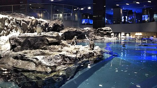 すみだ水族館 Wikiwand