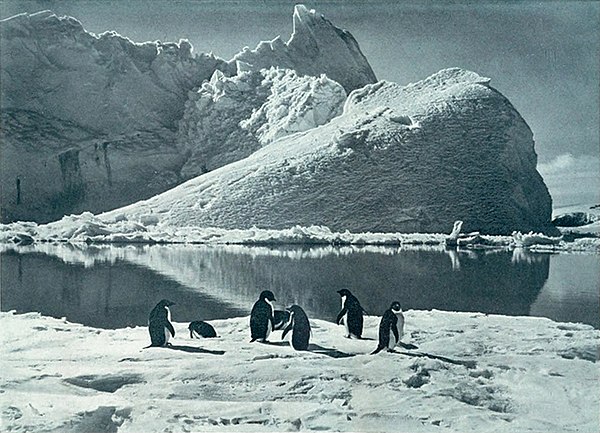 Photo of open water with penguins in the foreground and an iceberg in the background