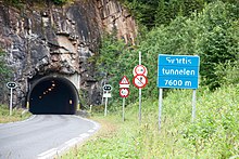 Svartis tunnel.jpg