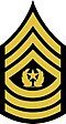 TAMU-09-Cadet-CSM.JPG