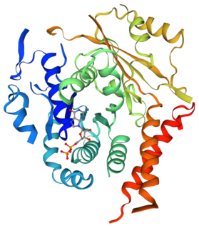 <span class="mw-page-title-main">TUBG1</span> Tubulin protein