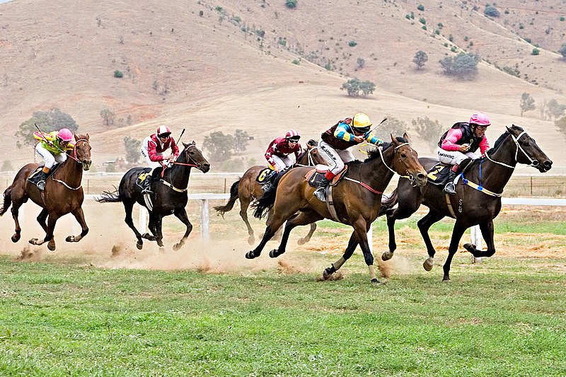 File:Tambo valley races 2006.jpg