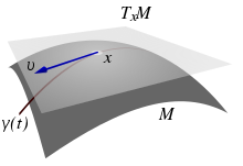 La mappa esponenziale associa ad ogni vettore {\displaystyle v}v dello spazio tangente l'unica geodetica {\displaystyle \gamma (t)}{\displaystyle \gamma (t)} passante per il punto e tangente a {\displaystyle v}v.