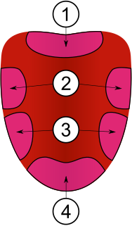 Tongue map