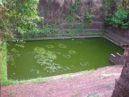 The pond at Raja Rajeshwari temple