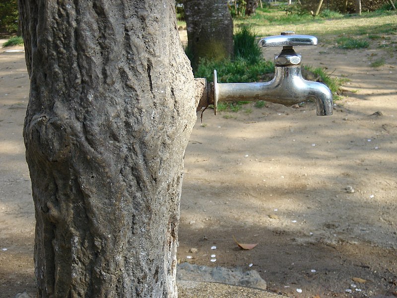 File:The Faucet in the Stump 1.jpg