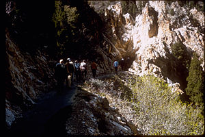 Timpanogos Cave National Monument TICA2281.jpg