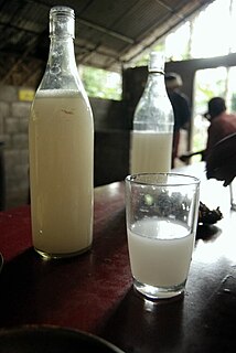 <span class="mw-page-title-main">Palm wine</span> Alcoholic beverage made from tree sap