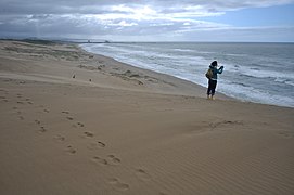 --- in Nanchō is the widest beach in Esonice and a very popular surfing spot where competitions are held annually. It's usually 280 meters wide, at it's widest stretch its 372 meters.