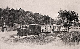 Tramway de Quend - Fort-Mahon - La courbe des Sapins.jpg