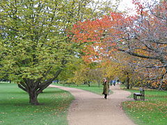 University Parks, Oxford, Autumn 2006.jpg