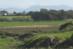 View across the northern section of Cors Crigyll towards the site of Llechylched Church - geograph.org.uk - 1001278.jpg