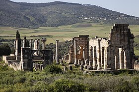 Volubilis Longshot II.jpg