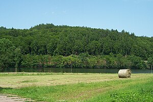 View from the lakeshore to the north to the Karthäuserberg.