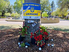 WE STAND WITH UKRAINE flyer on a tree in front of Stanford bookstore