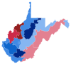 2008 West Virginia Senate Election