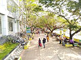 A View of Marine Drive, Kochi, Kerala, India