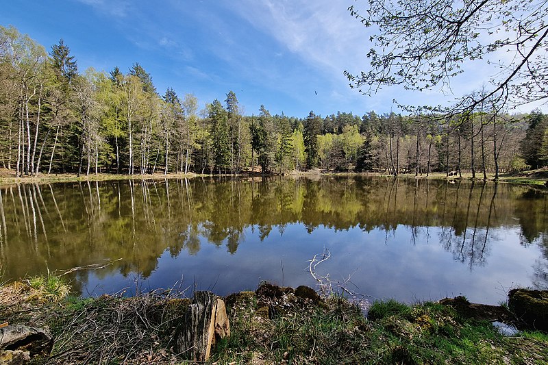 File:Water near Kohlthal, La Petite-Pierre.jpg