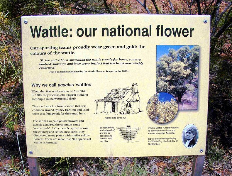 File:Wattle sign. Olive Pink Reserve, Alice Springs.jpg