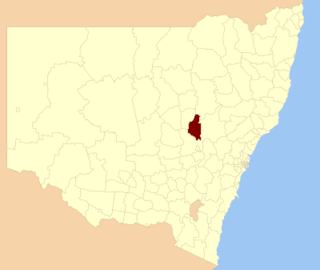 <span class="mw-page-title-main">Wellington Council</span> Former local government area in New South Wales, Australia