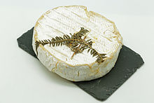 Photographie d’un fromage rond sur une plaque rectangulaire.