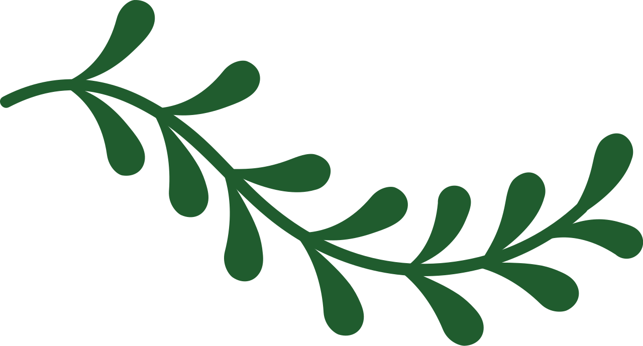 File Wikimania2019 Vine Icon Svg Wikimedia Commons