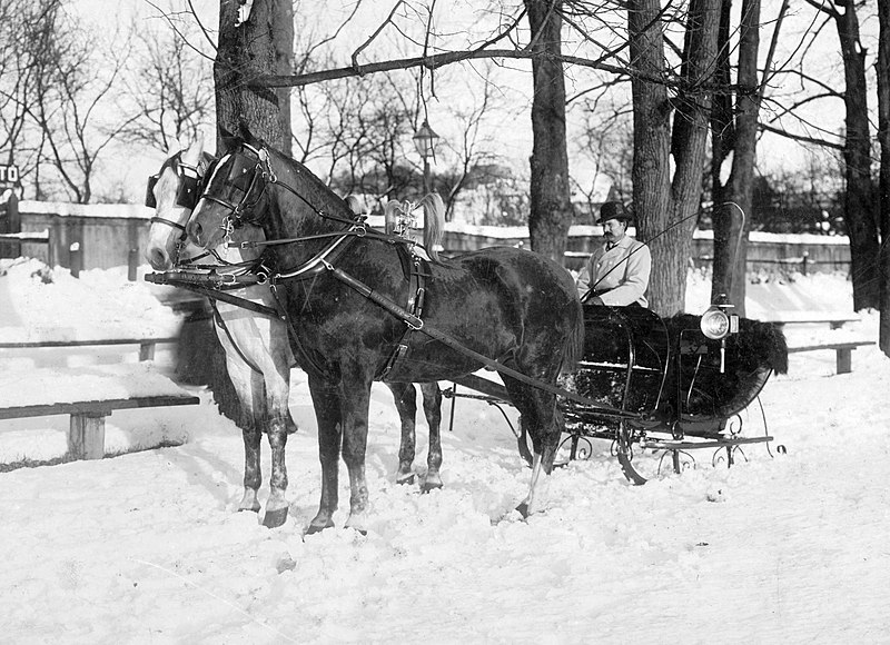 File:Winter, horse, teamster, coach, sleigh Fortepan 18236.jpg