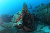 Wreck of a B-17 bomber (Calvi, Corsica).JPG