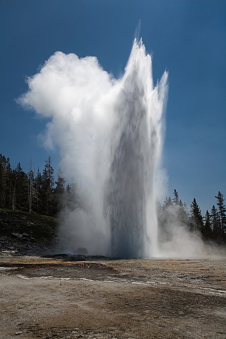 The Grand Geyser, the largest predictable geyser in Yellowstone, can spout boiling water over  in the air.