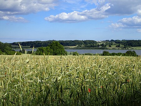 Årslev Engsø (Årslev) 01.jpg