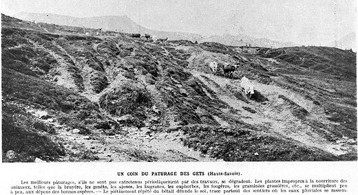 L'érosion des sols, début du XXe siècle.
