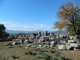 Bilgi kutusundaki görüntü.