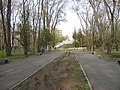 Аллеи Севастопольского парка.jpg
