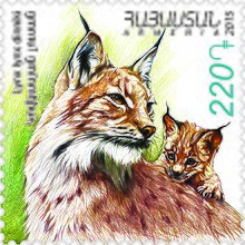 Caucasian Lynx stamp of Armenia Kovkasyan lowsan (Lynx lynx dinniki).jpg