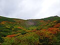 2021年8月7日 (土) 12:12時点における版のサムネイル