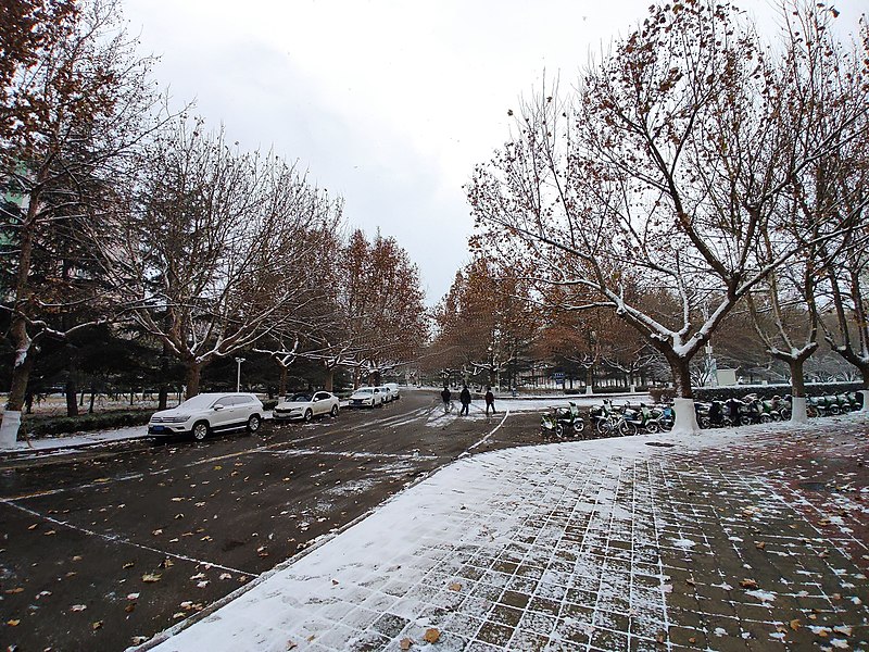 File:雪天的潍坊学院 2020-12-13 1.jpg
