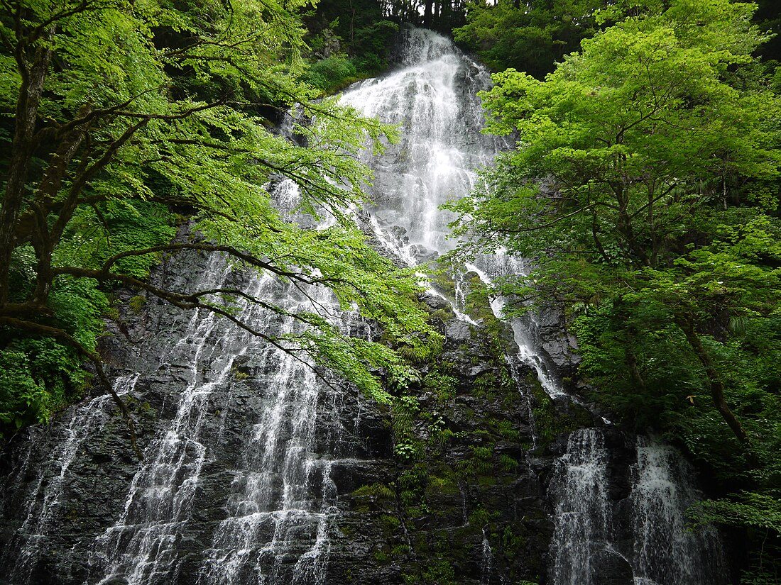 池田町 (福井縣)