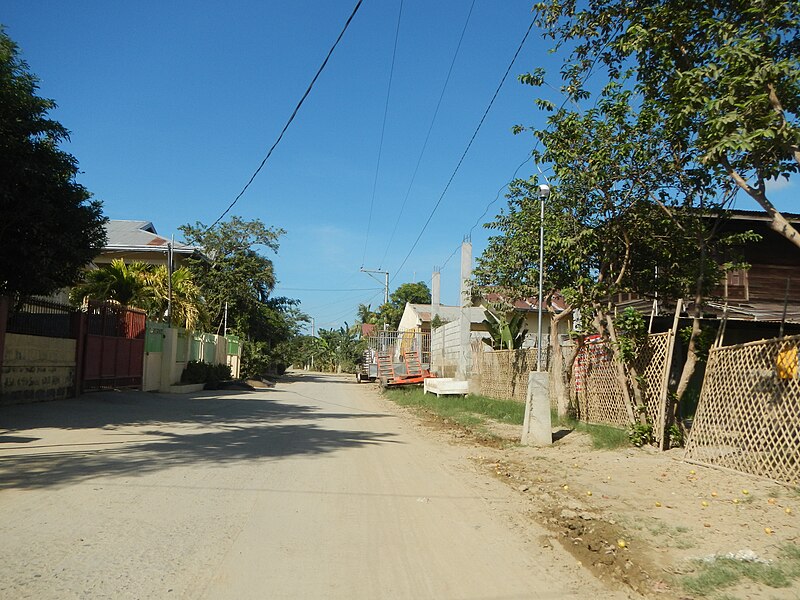 File:04863jfFarm Roads Gulap Santo Rosario Candaba Pampangafvf 06.JPG