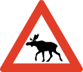 Beware of moose (Norwegian: "elg")