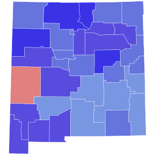 <span class="mw-page-title-main">2006 New Mexico gubernatorial election</span> Election for the governorship of the U.S. state of New Mexico