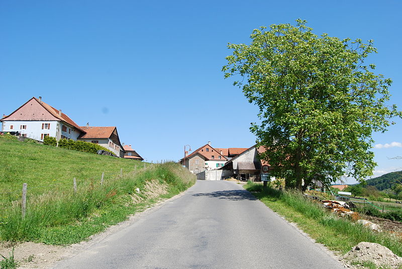 File:2014-05-18-Yverdon (Foto Dietrich Michael Weidmann) 125.JPG