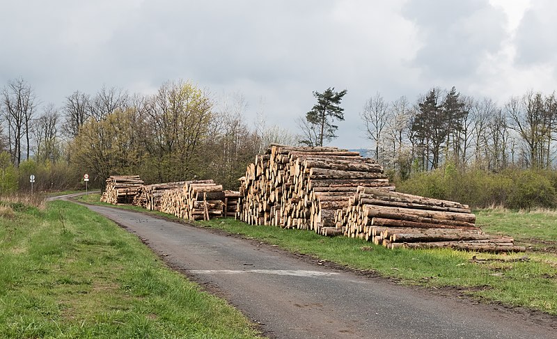 File:2017 Kłody drewna w Dębowinie.jpg