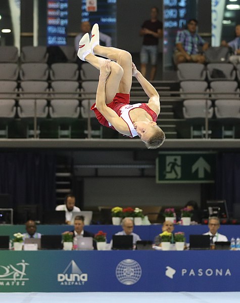 File:2019-06-27 1st FIG Artistic Gymnastics JWCH Men's All-around competition Subdivision 3 Floor exercise (Martin Rulsch) 317.jpg