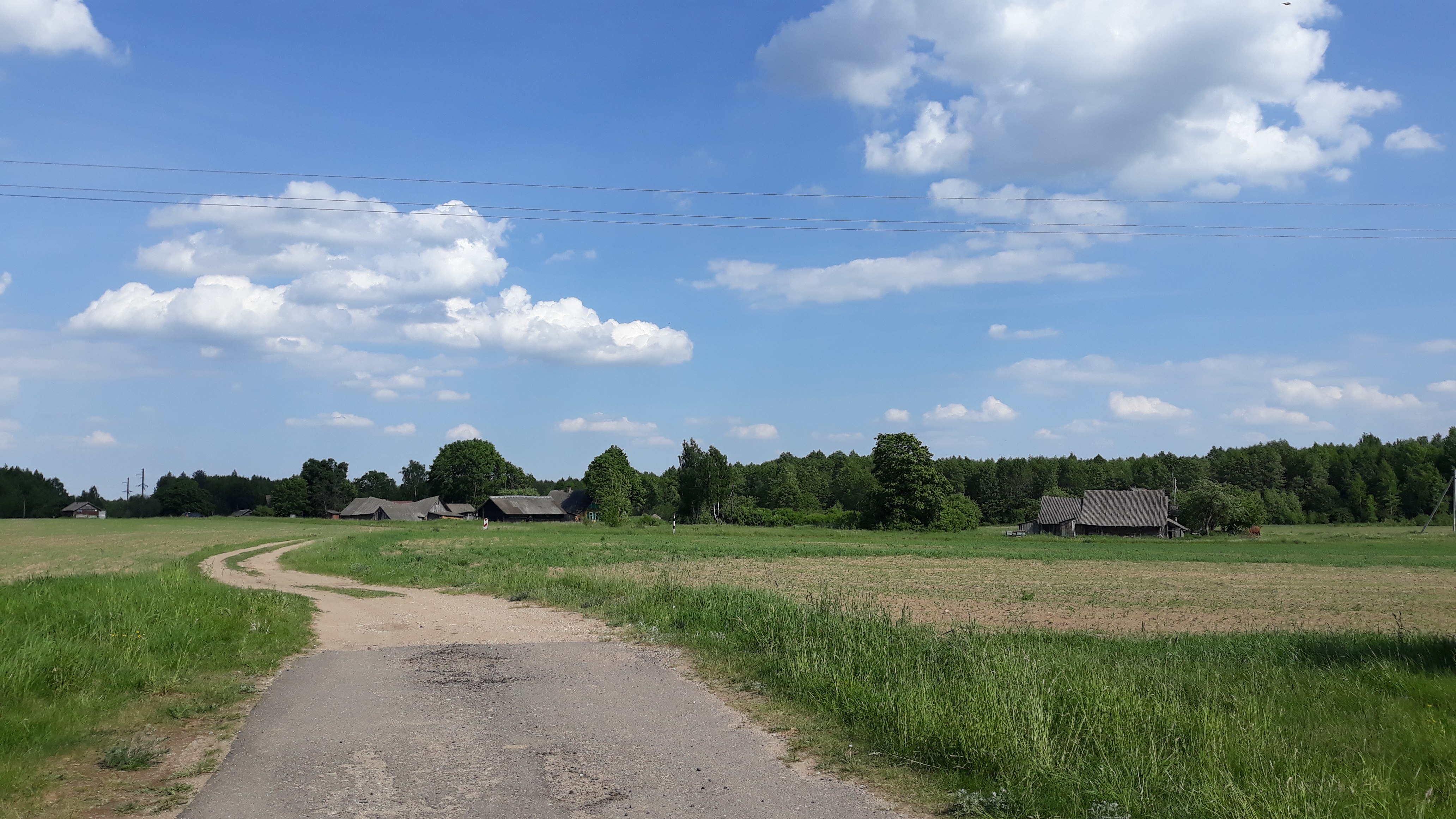 Рудня белоруссия. Веска у махрово. Фото выс=веска пустая.