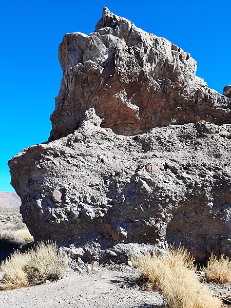 File:20211127.Nationalpark El Teide,Teneriffa.-055.jpg