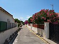 wikimedia_commons=File:20230614 - Canet-en-Roussillon - Rue Déodat de Séverac 6.jpg