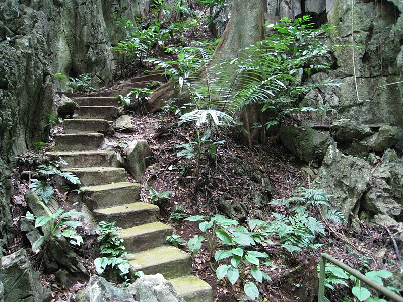 File:51 Staircase (9124242464).jpg